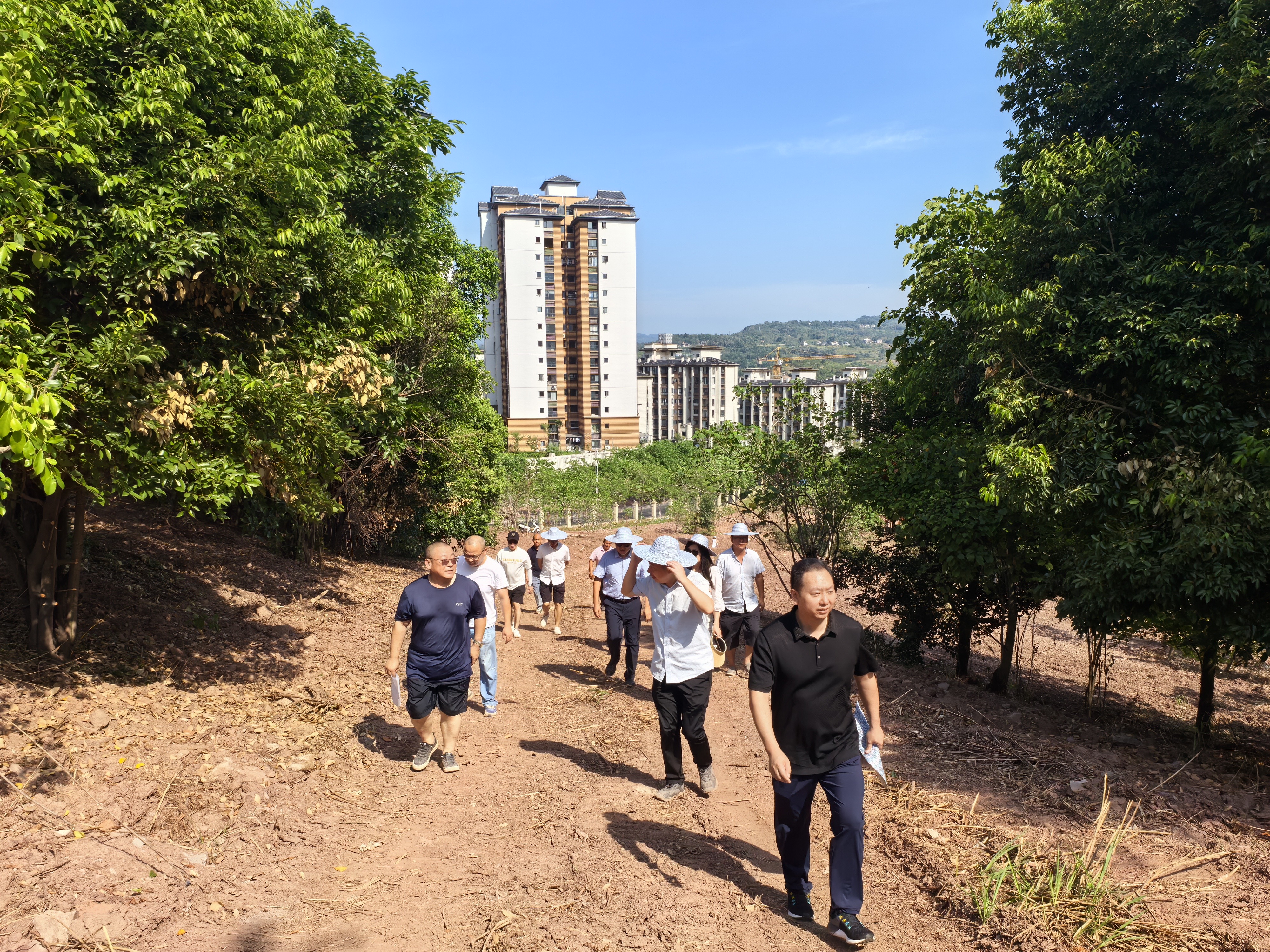 ieUC_1723126024569014771.jpg 微信图片_20240808213452.jpg