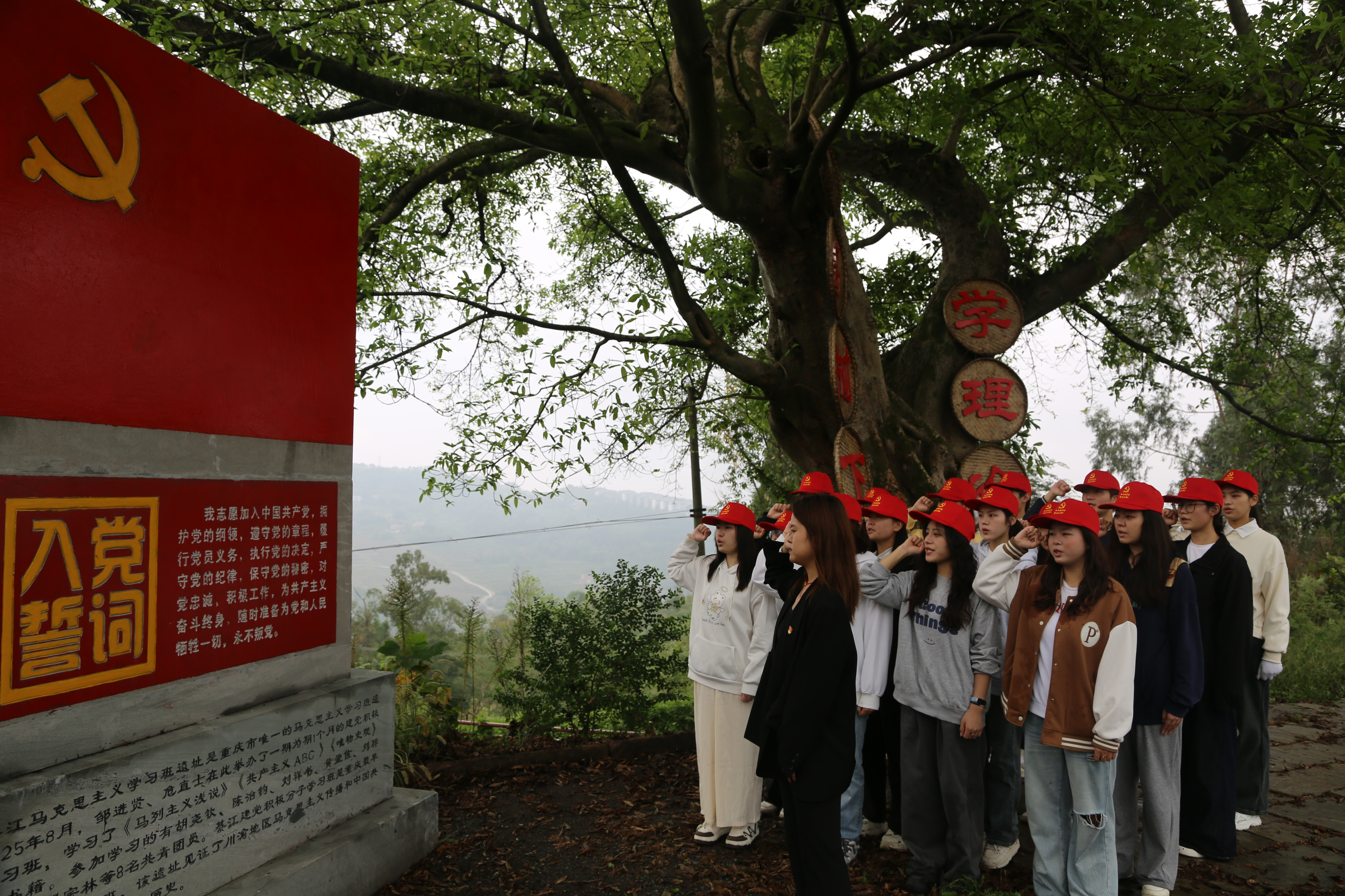 图片3.png 图片3.png