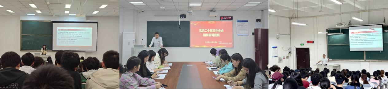 tzMA_1731031055206081762.png 图片11.png