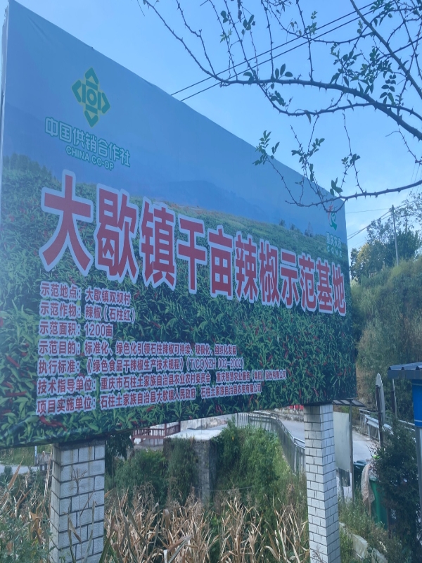 uiYe_1663895907151049200.jpg 1.jpg
